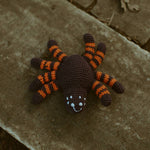 Bug Rattle - Spider
